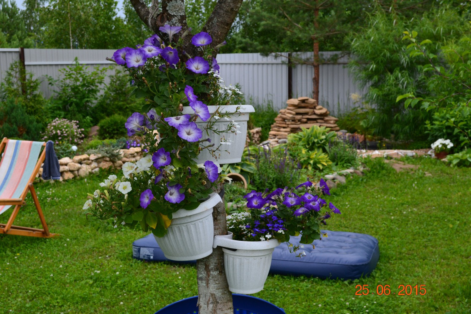 DSC 0851.JPG
