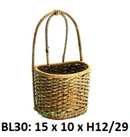 BL30  . 110 . +%