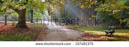 Stock-photo-path-in-the-autumn-park-autumn-landscape-park-in-autumn-panorama-157481375.jpg