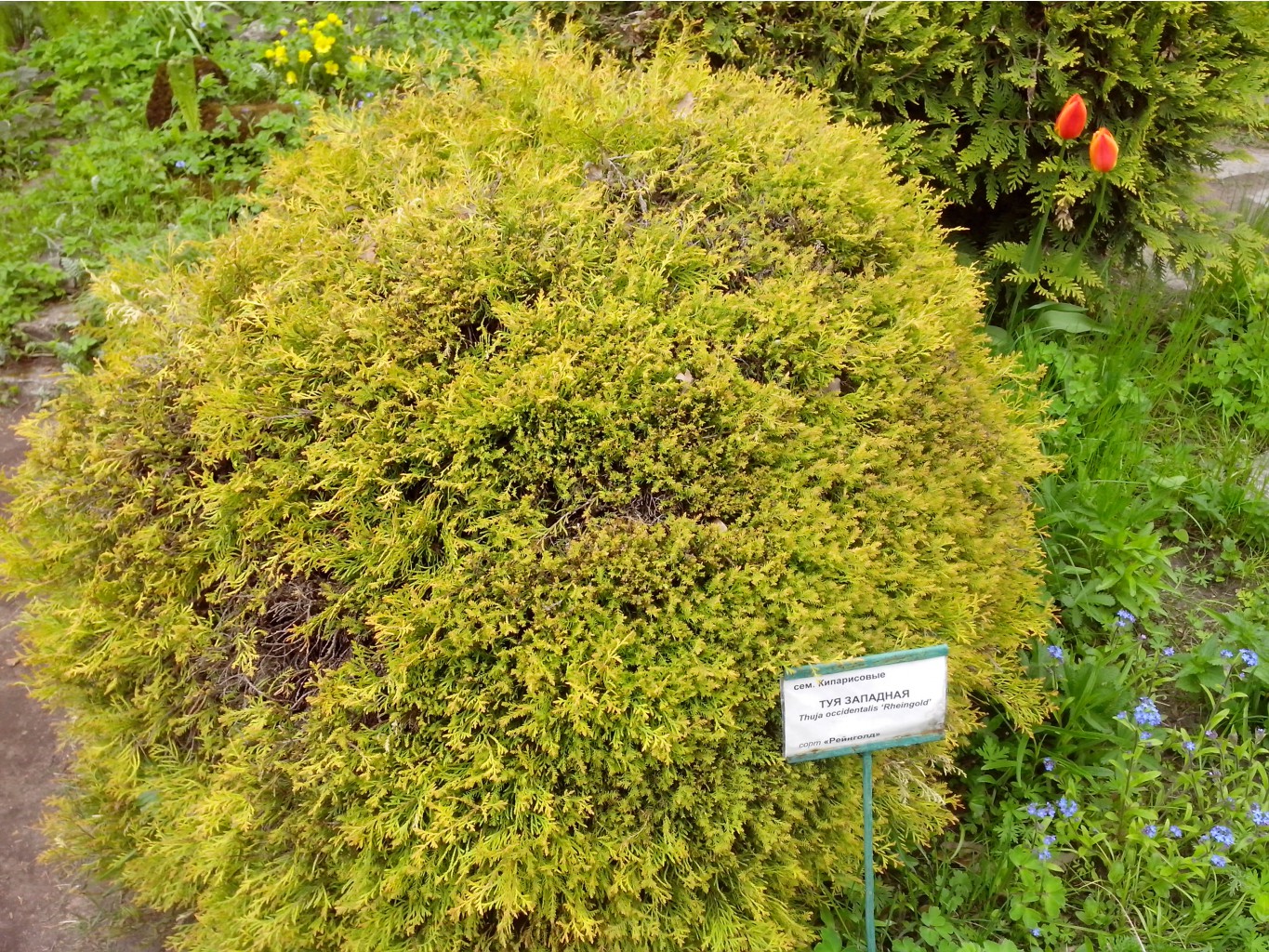 IMG 20150517 135711.jpg