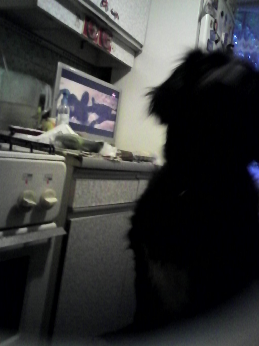 IMG 20150713 191615.jpg