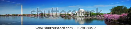 Stock-photo-washington-dc-panorama-with-washington-monument-and-thomas-jefferson-memorial-with-cherry-blossom-52808992.jpg