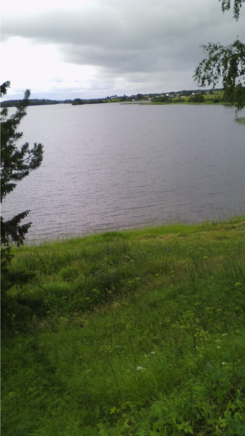 IMG 20150705 154017.jpg