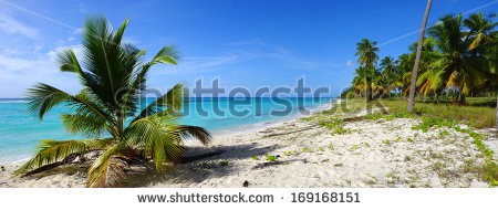 Stock-photo-tropical-beach-with-blue-sky-169168151.jpg