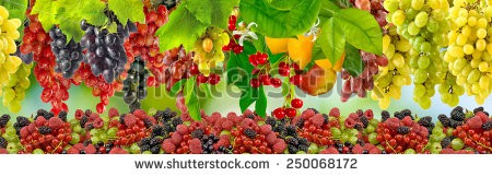 Stock-photo-image-of-many-fruits-on-green-background-250068172.jpg