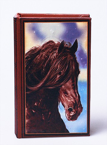     17X11X5 480416 400.jpg