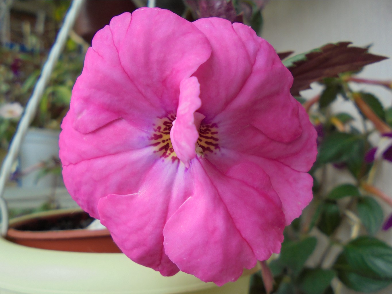DSC01440.JPG