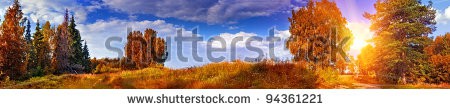 Stock-photo-autumn-panoramic-landscape-with-mixed-forest-94361221.jpg