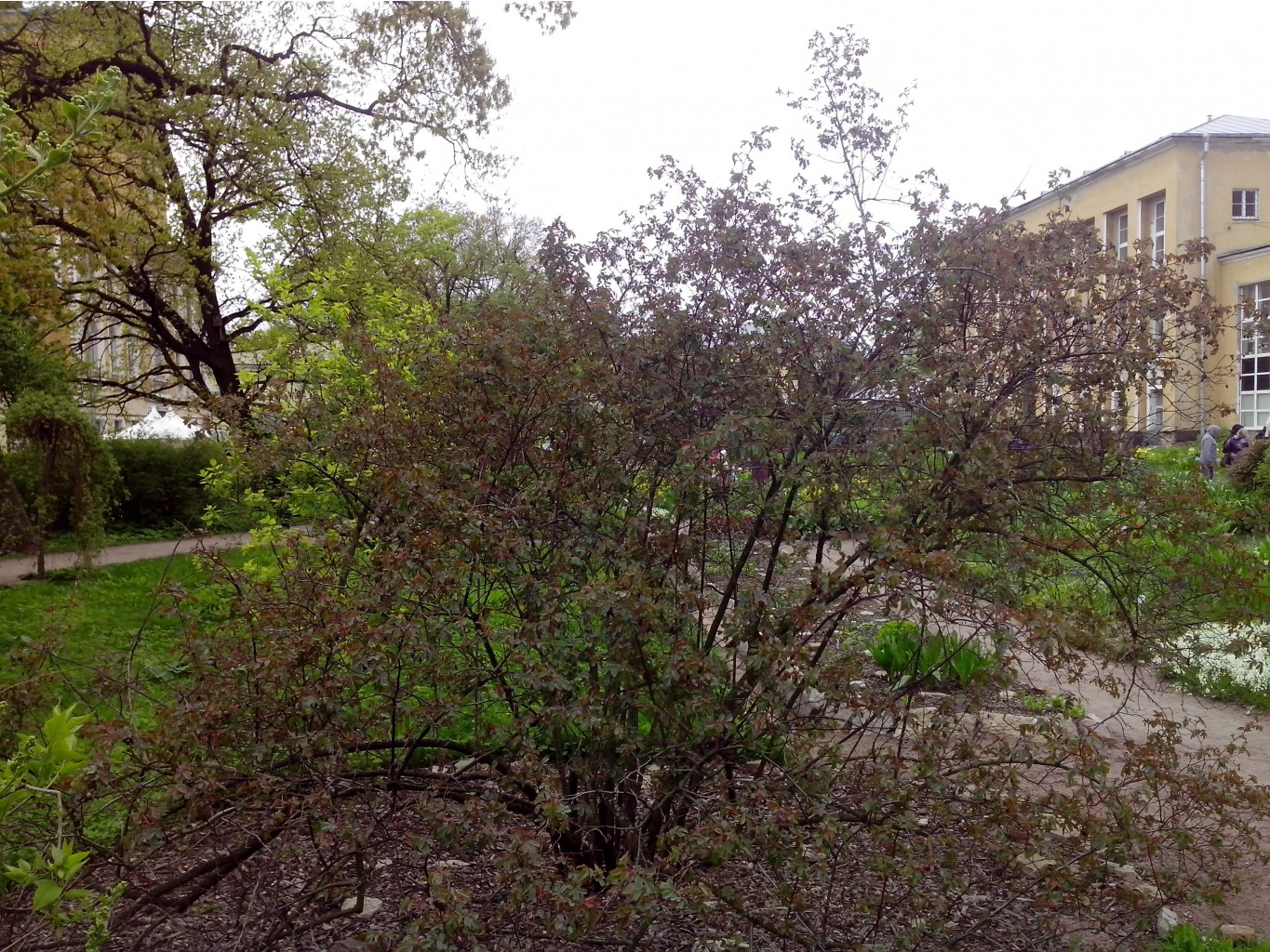 IMG 20150517 140946.jpg