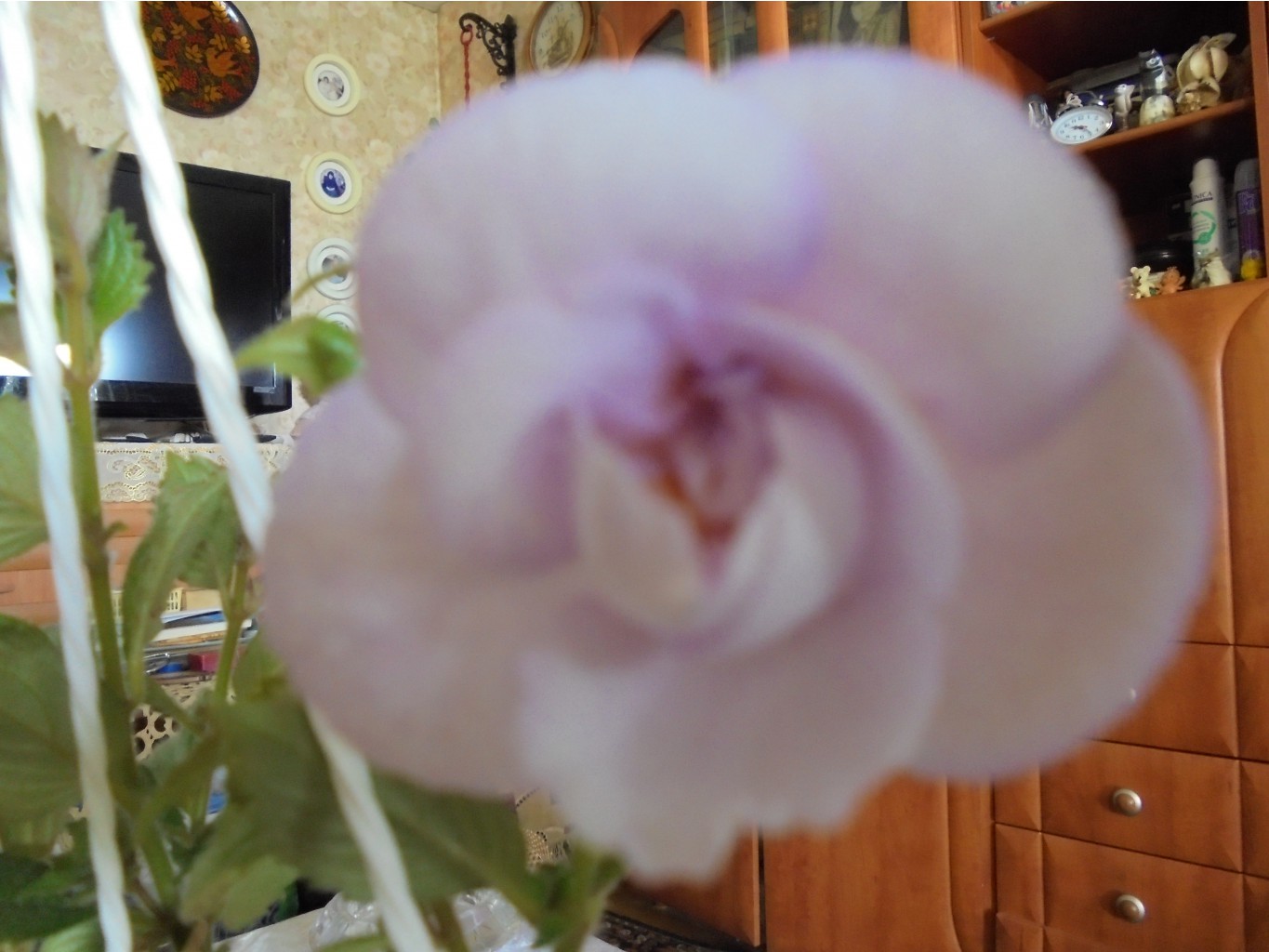 DSC01075.JPG