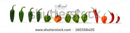 Stock-photo-creative-panorama-image-of-assorted-mixed-hot-chillies-with-soft-shadows-against-a-white-background-160358420.jpg