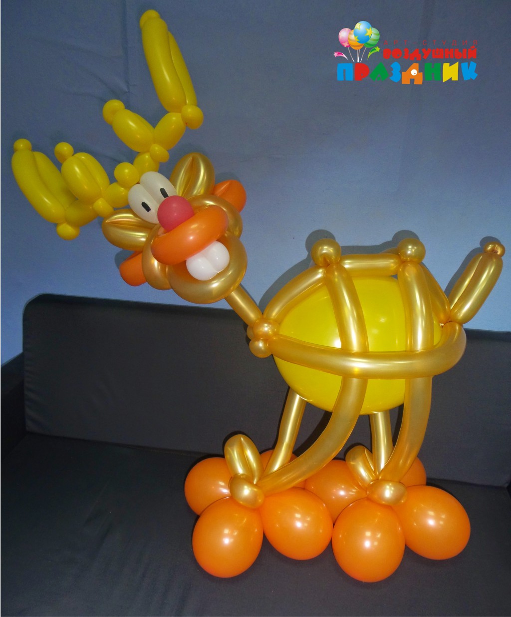 5 550 .jpg