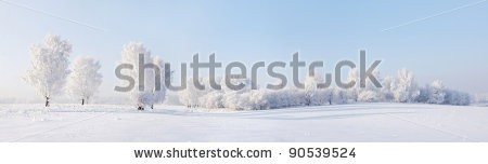 Stock-photo-winter-beautiful-landscape-with-trees-covered-with-hoarfrost-90539524.jpg