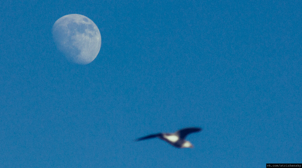 IMG 5685.jpg