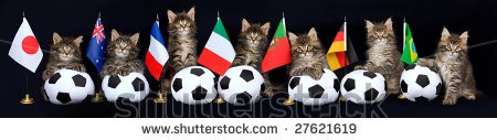 Stock-photo-pano-panorama-collage-of-cute-maine-coon-kittens-on-black-background-with-different-country-27621619.jpg