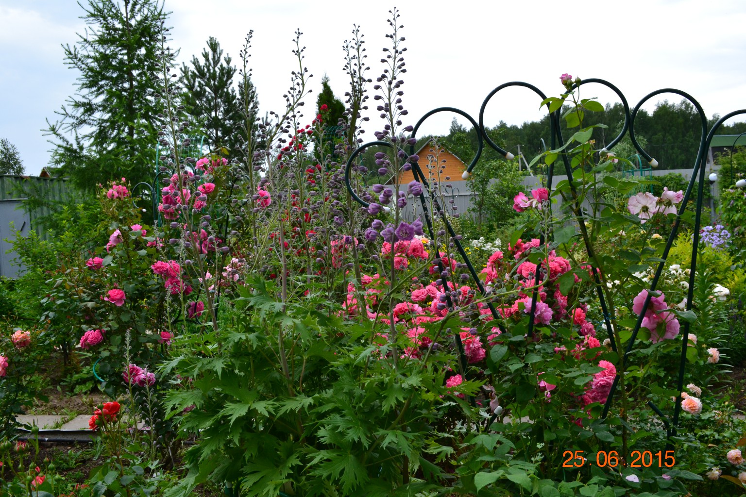 DSC 0842.JPG