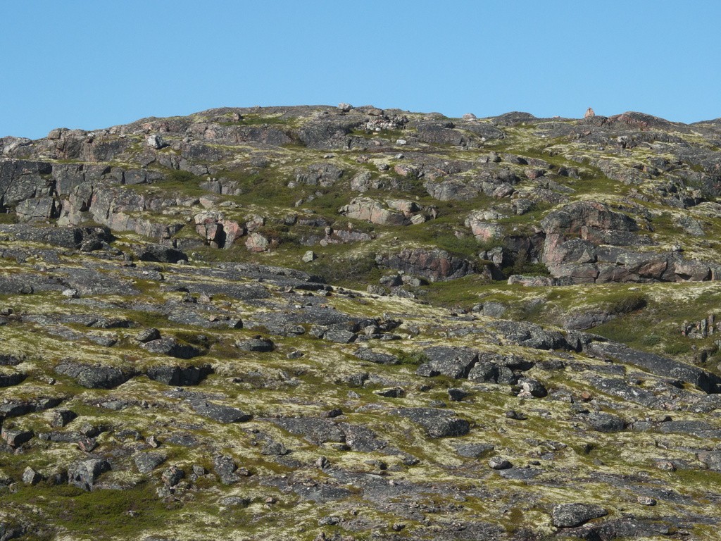DSCF0863.JPG