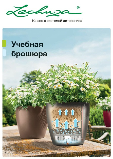Лечуза1.jpg