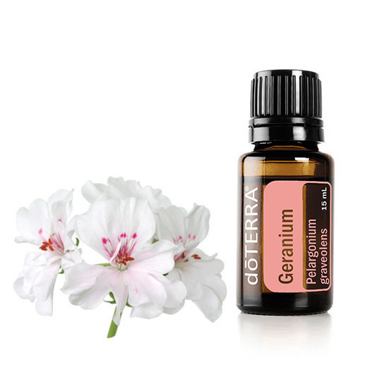  Geranium Essential Oil