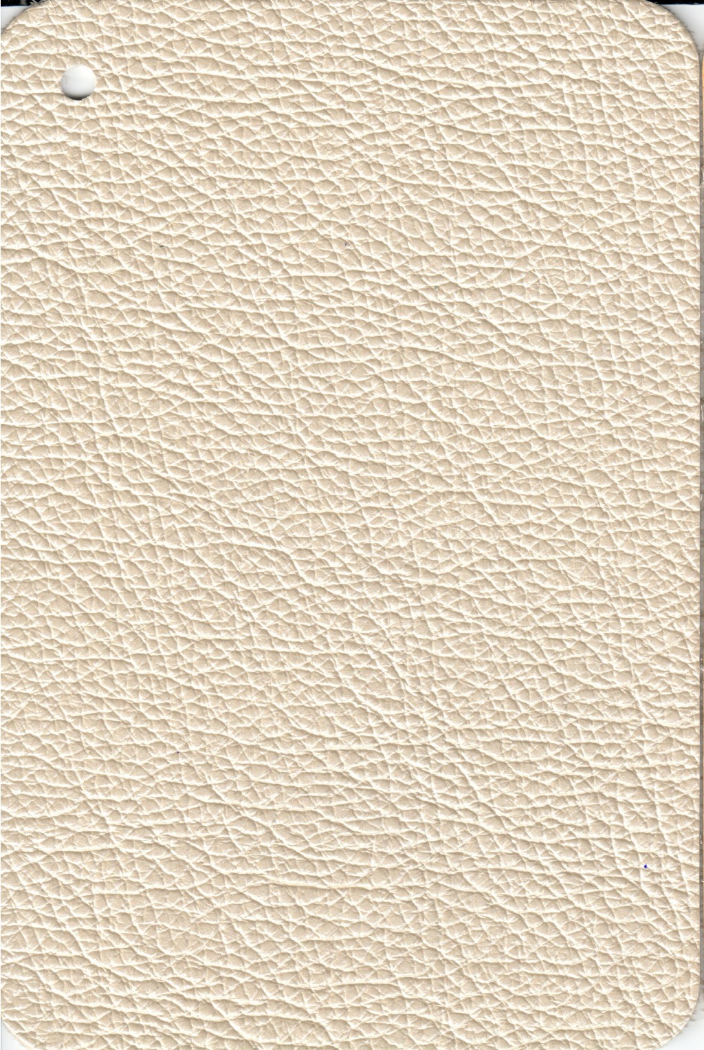 PERLATO IVORY.jpg
