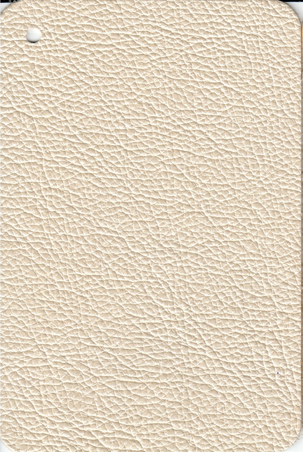 PERLATO IVORY.jpg