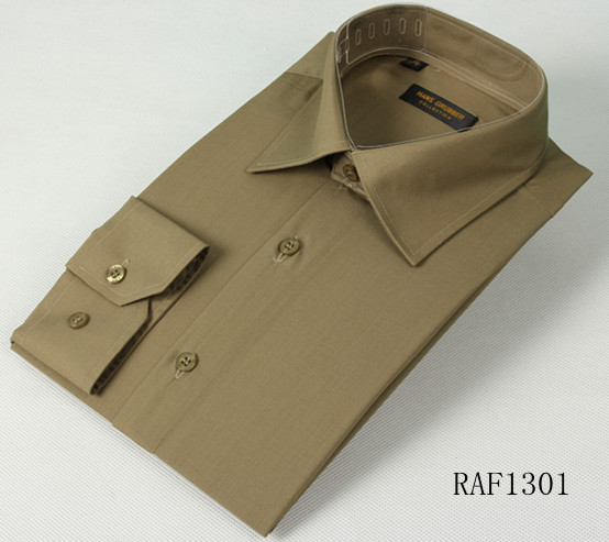 RAF1301