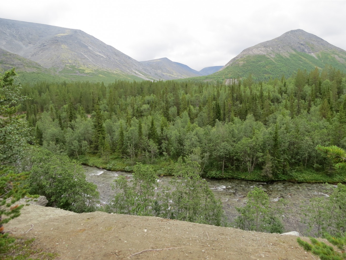 IMG 2068.JPG