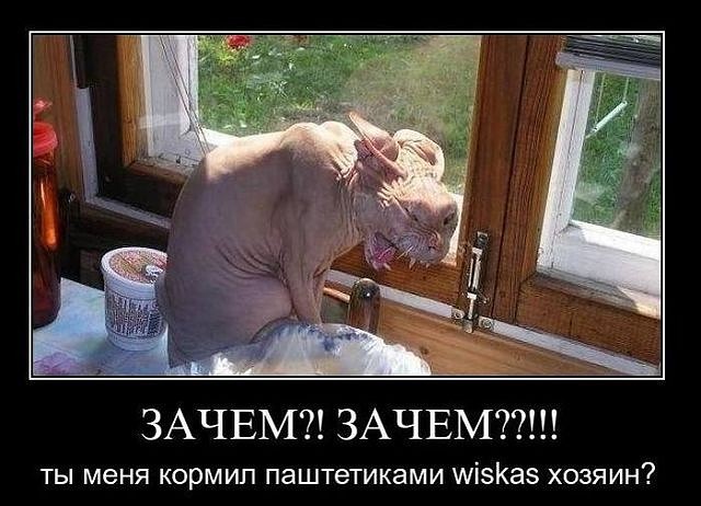 GetImage(48).jpg