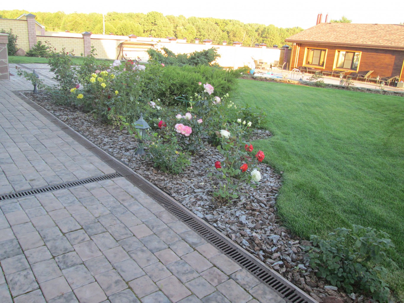 IMG 3512.JPG