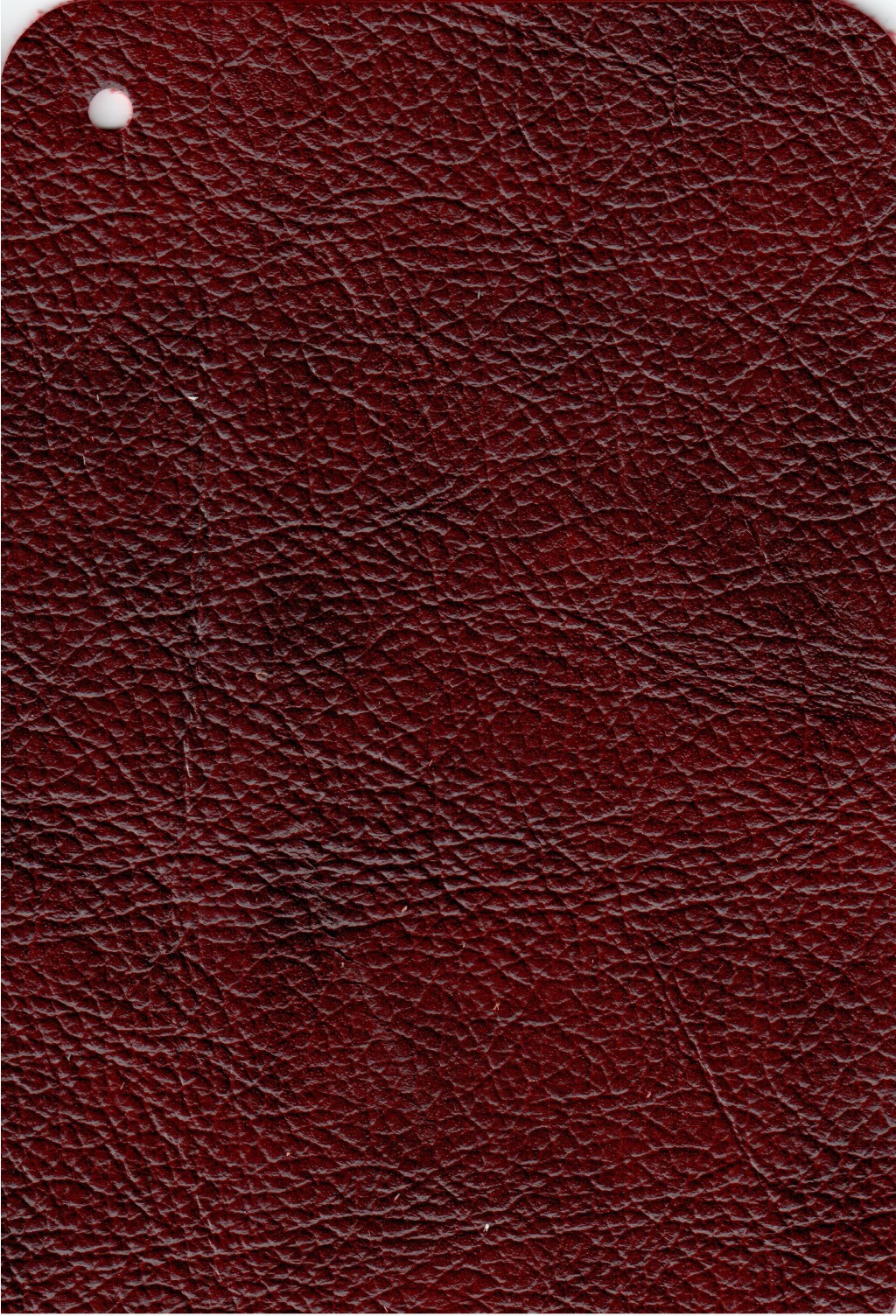 OXBLOOD.jpg