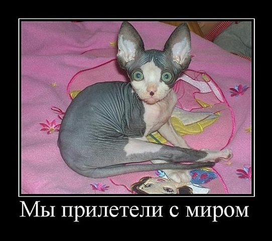 GetImage (34).jpg