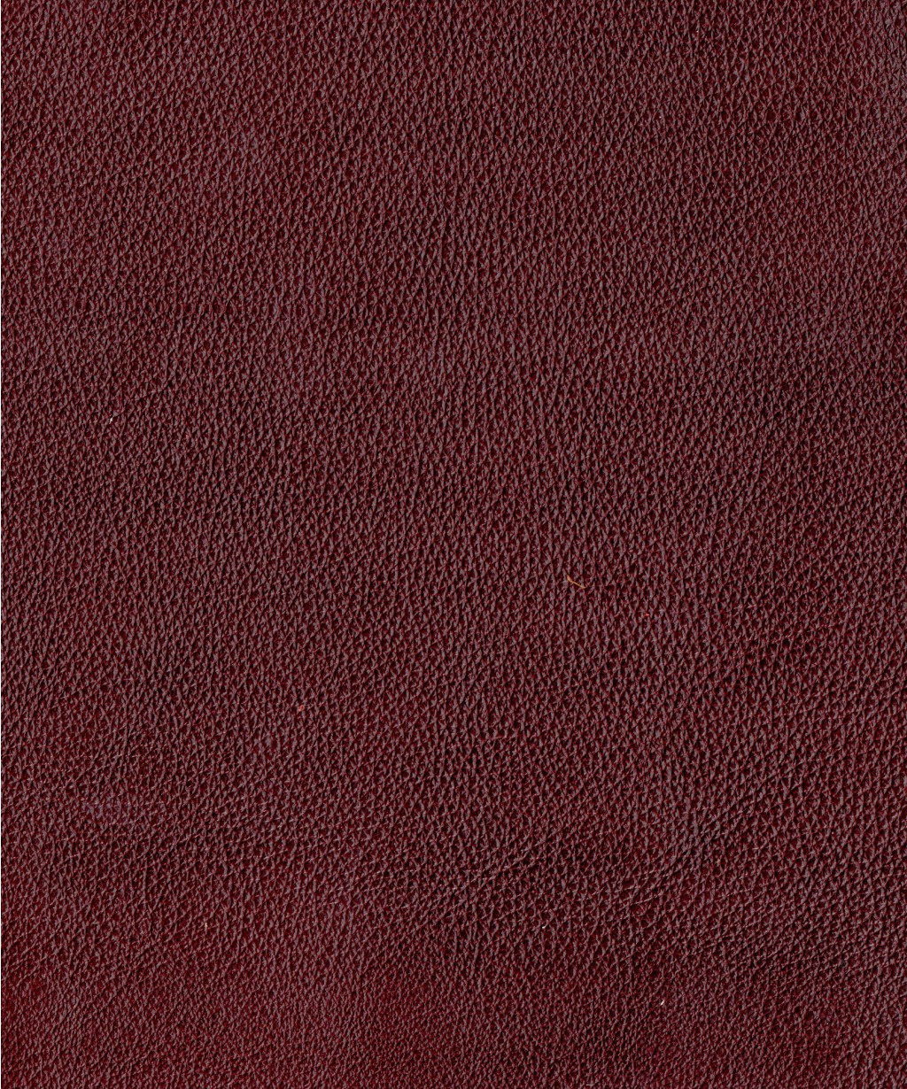 BORDO.jpg
