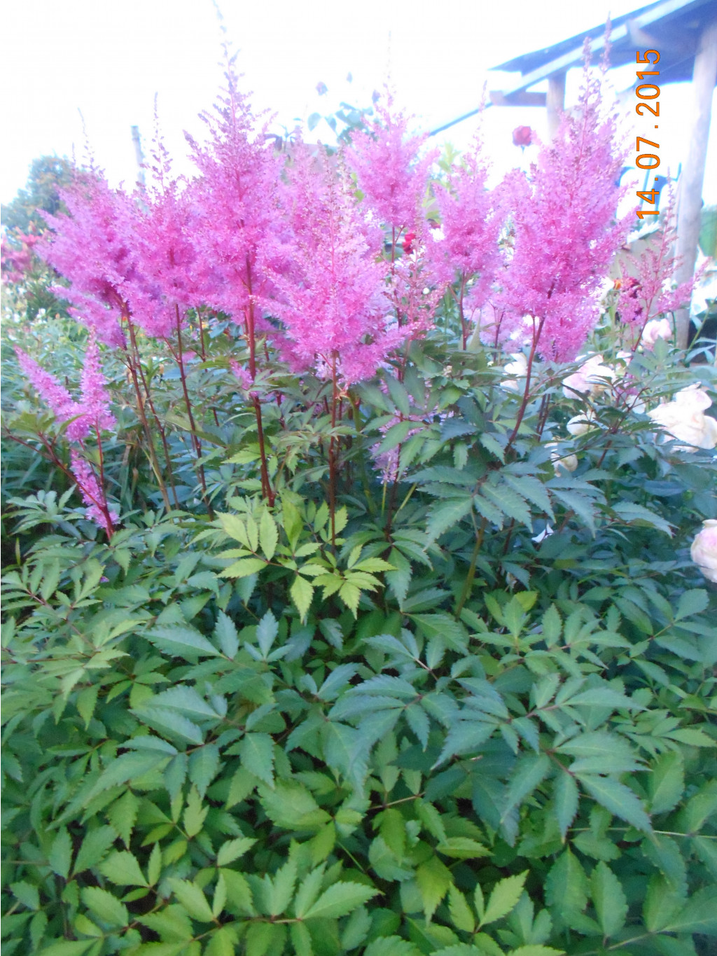 DSCN1109.JPG