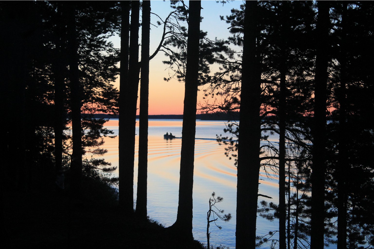 IMG 2875.JPG