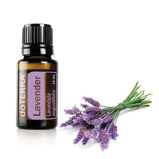  Lavender Essential Oil