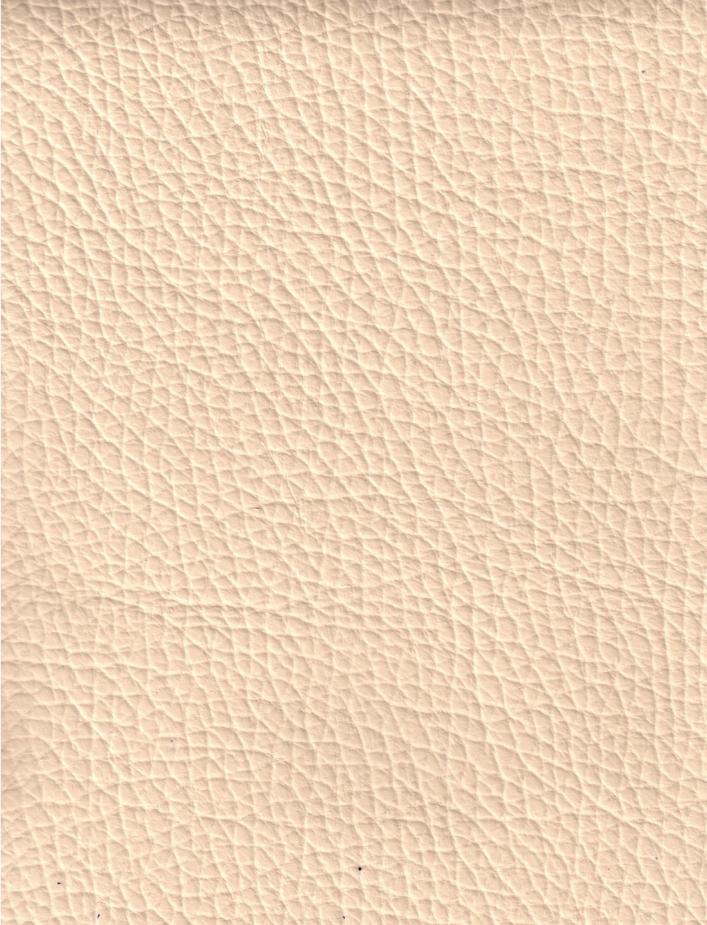 CANVAS (  .).jpg