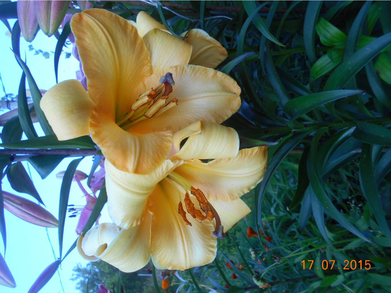 DSCN1126.JPG