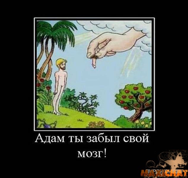 Mozg Adama.jpg