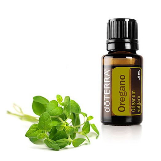  Oregano Essential Oil