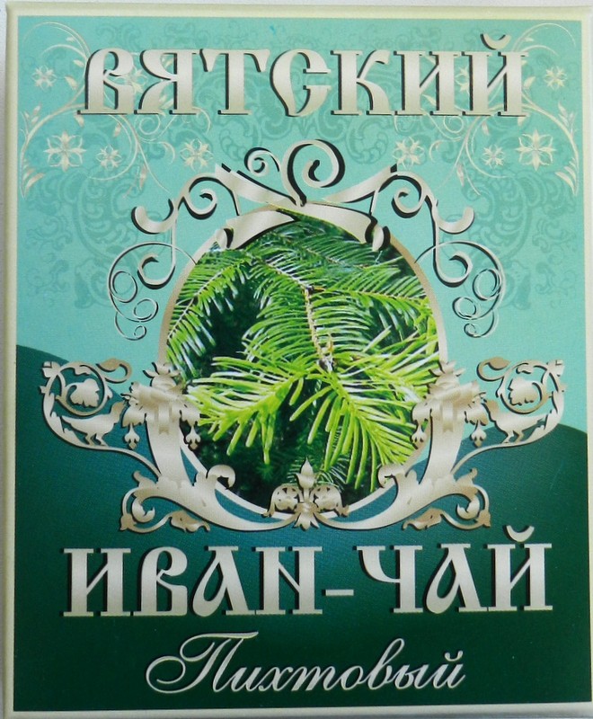 Пихта.JPG