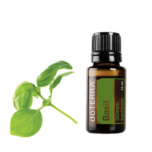  Basil Essential Oil