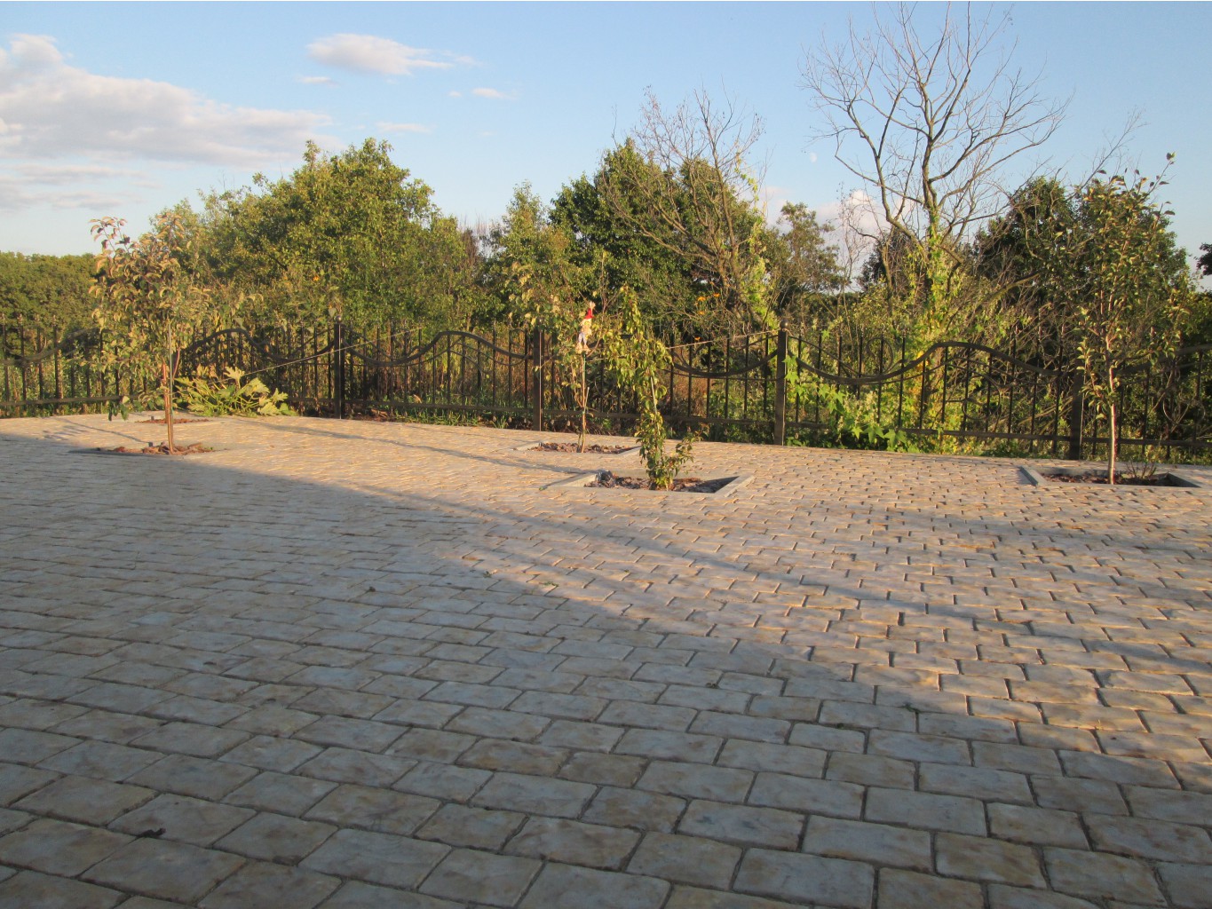 IMG 3504.JPG