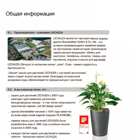 Лечуза7.jpg
