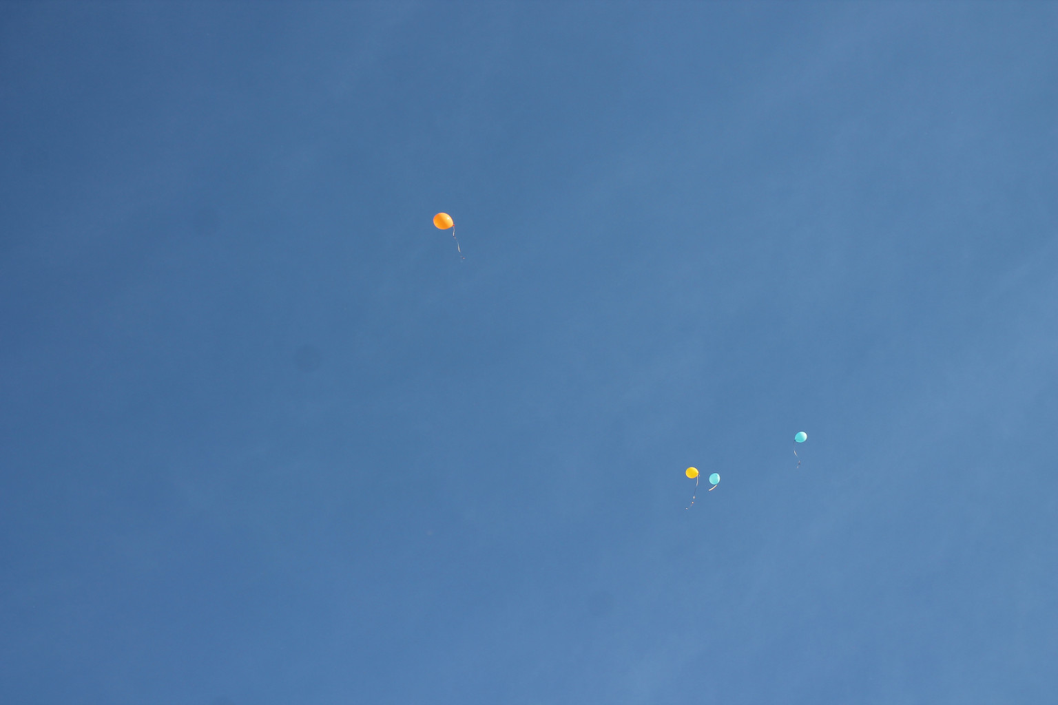 IMG 3131.JPG