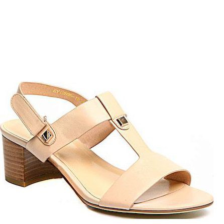 141551-1-1211  . . /.   - 2 800 .