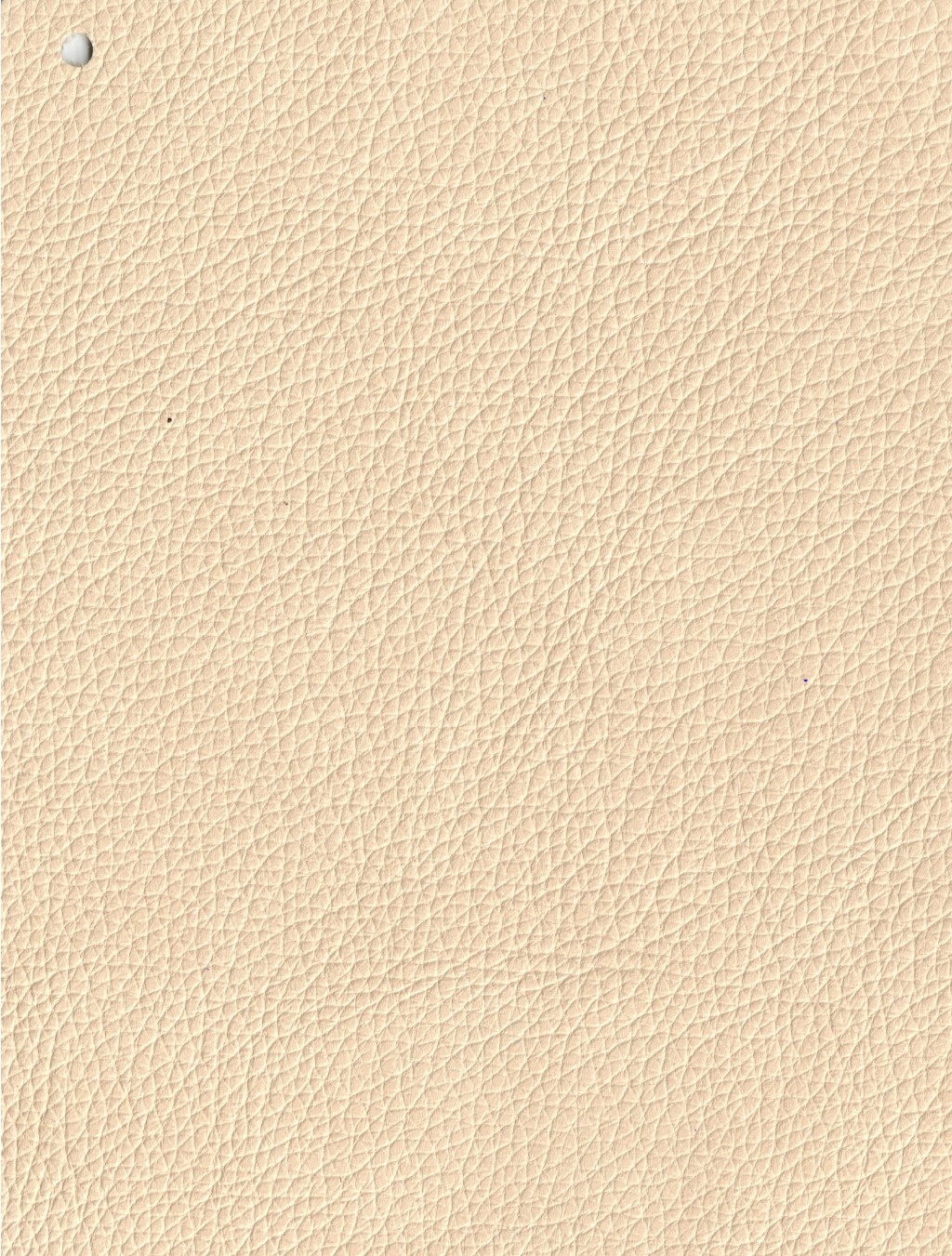 BEIGE.jpg