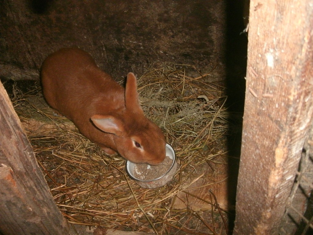 IMG 20150511 191055 34.jpg