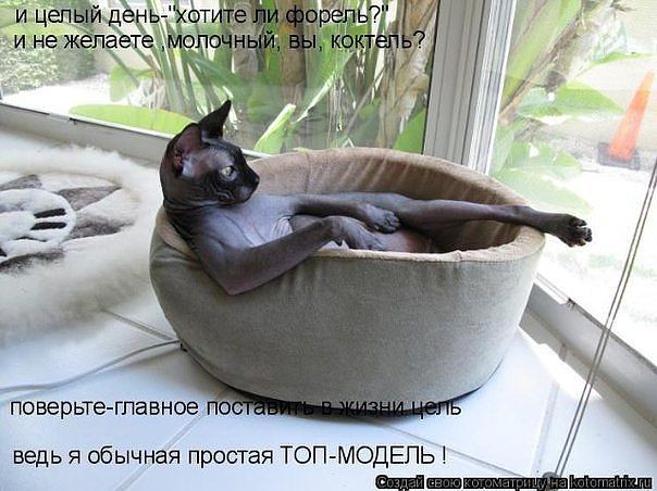 GetImage (56).jpg