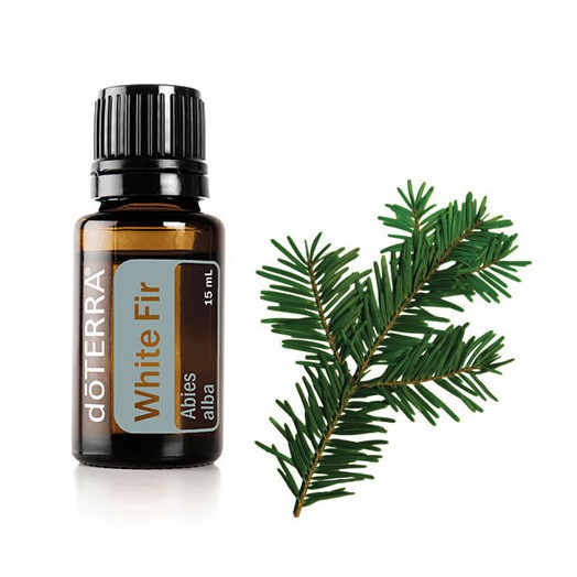  White Fir Essential Oil