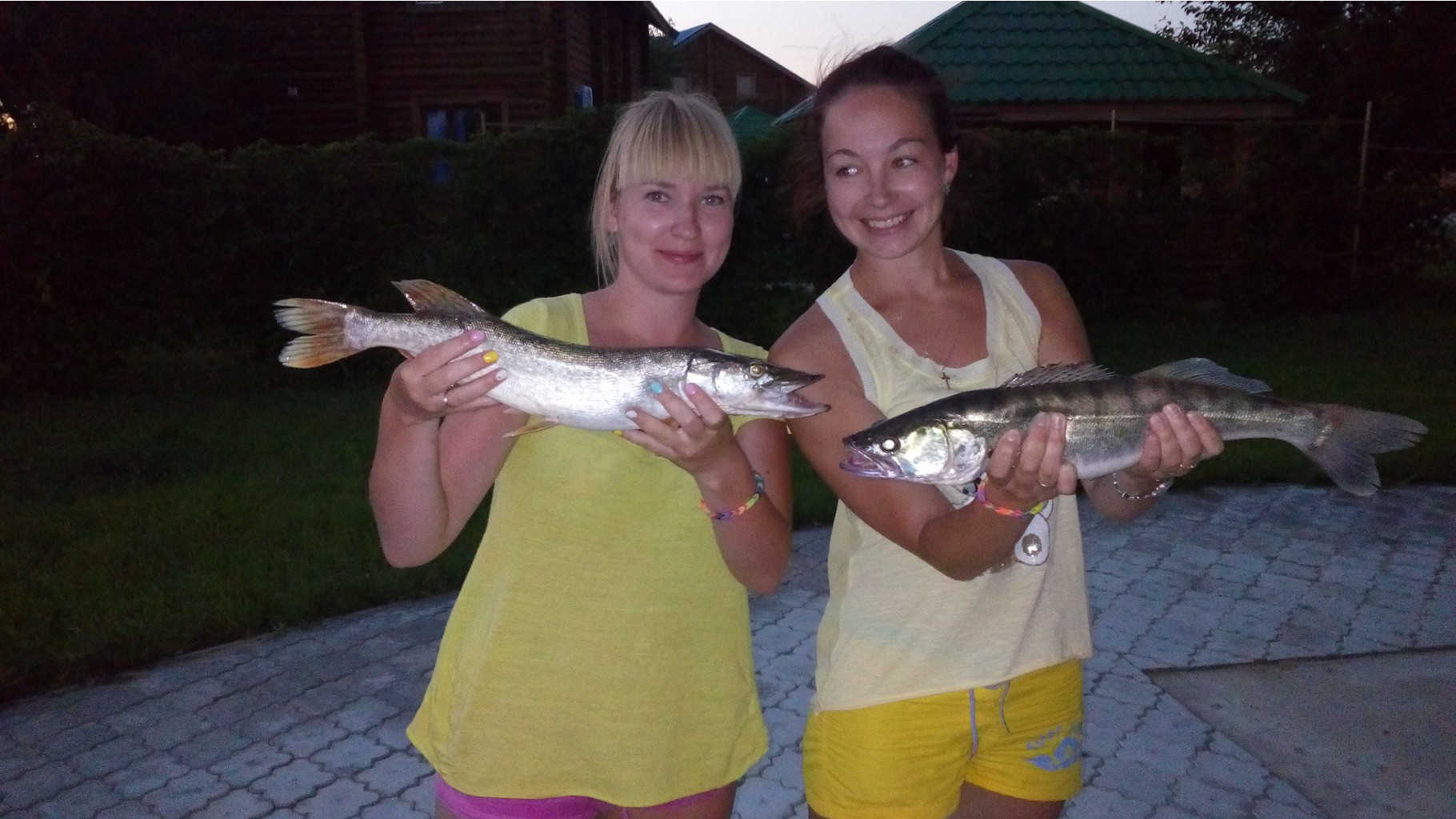 IMG 20150803 204640.jpg